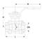 Ball valve Type: 74442 Stainless steel Internal thread (BSPP) 1000 PSI WOG